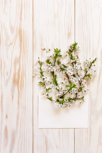 特写照片美丽的白色樱花树枝在白色信封。婚礼，订婚或订婚概念在黑暗的背景。俯视图，卡片。图片下载