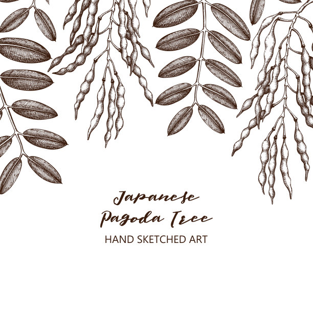 日本槐树设计图片下载