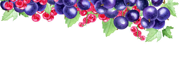 甜蜜夏日浆果图片下载