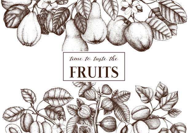 手绘水果和树枝框架。图片下载