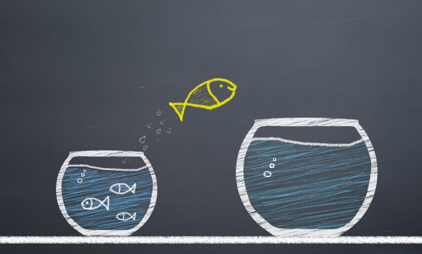 创新的概念。鱼从水族馆换到更大的水族馆图片下载