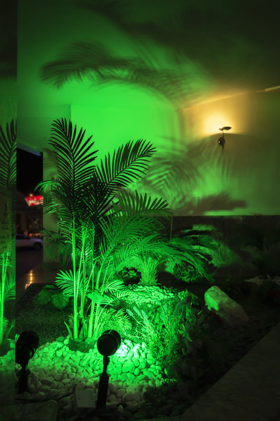 绿色装饰区域图片下载