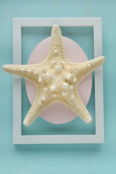 米色海星淡蓝色背景在白色框架。海夏天的概念。暑假的象征。夏日手机照片墙纸。海上装饰。俯视图，复制空间。图片下载