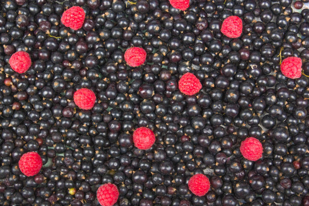 黑醋栗，樱桃，覆盆子。浆果的背景。新鲜的有机醋栗来自乡村花园。醋栗有机浆果。生态浆果的甜点，冰沙或果酱。俯视图图片下载