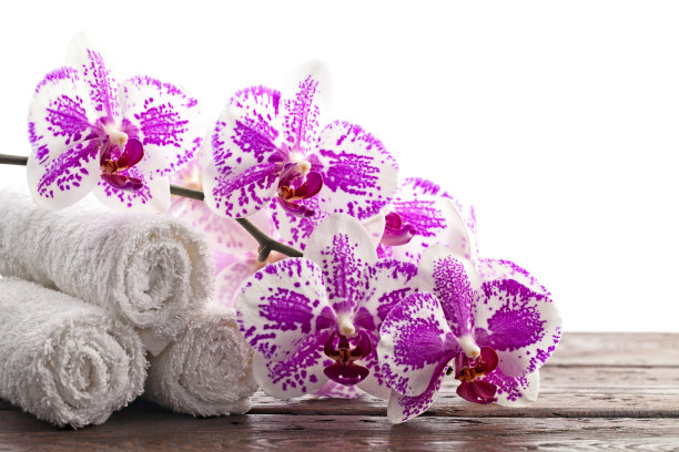 兰花卷面巾图片下载