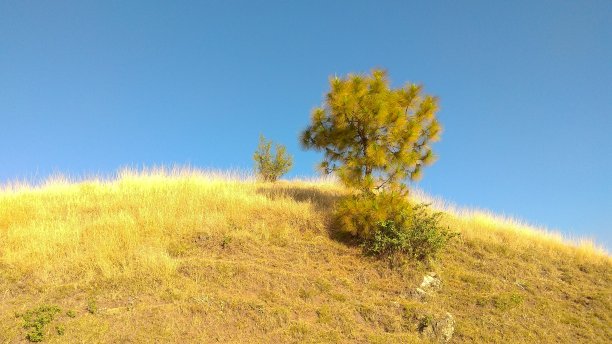 金自然徒步旅行图片下载