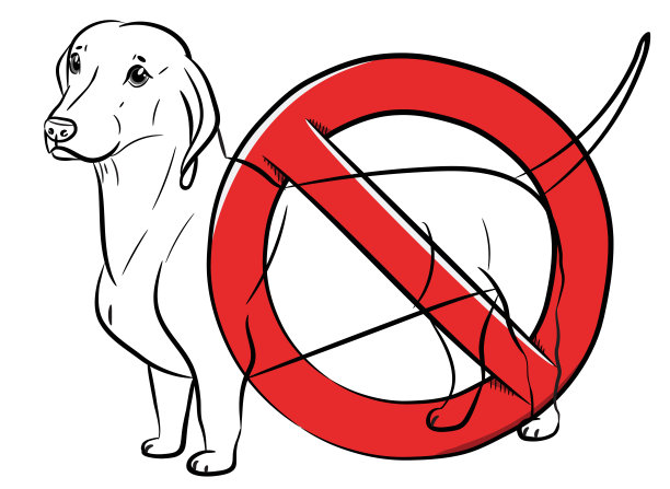 狗。腊肠犬。停止狗。黑色的轮廓。现实手绘腊肠犬。透明背景。矢量插图。白色的孤立。图片下载