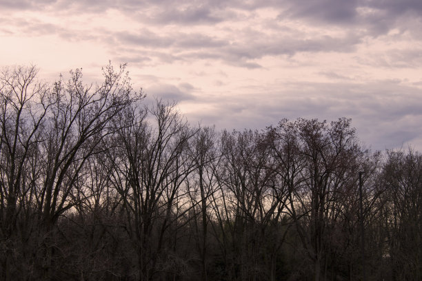 加拿大，安大略，壮观的夜空图片下载