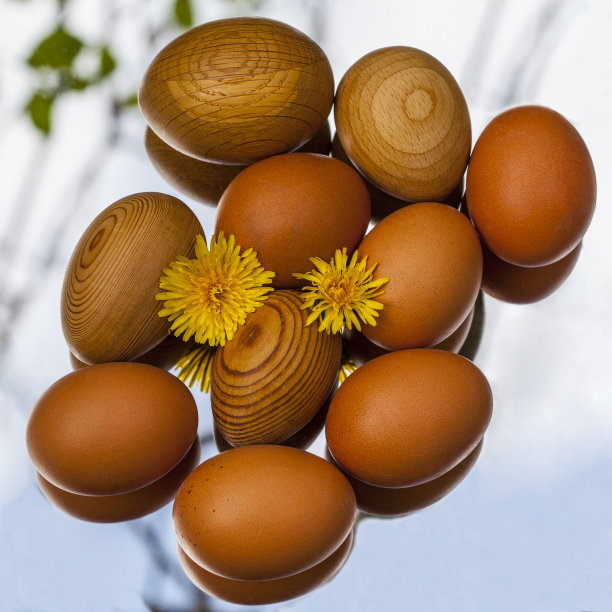 复活节-真正的鸡蛋和一些木制的图片下载