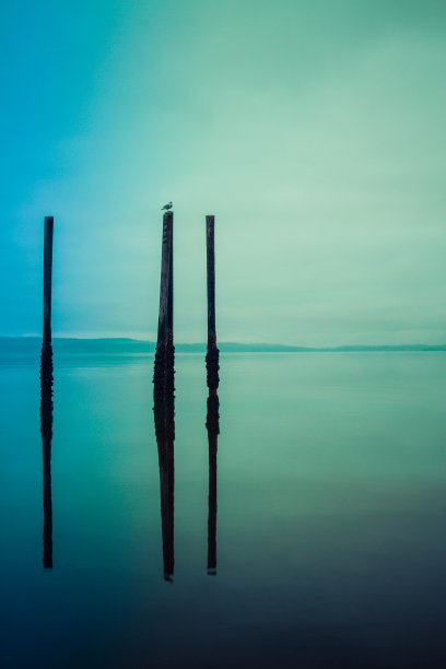 木头堆在海里图片下载