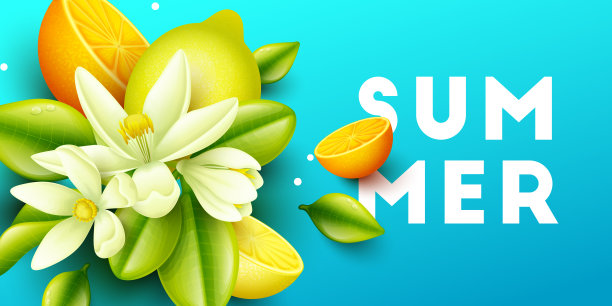 夏天的水果背景图片下载