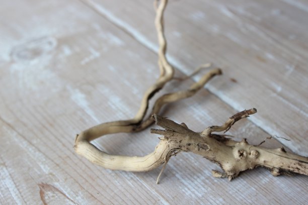 干枝板的背景图片下载