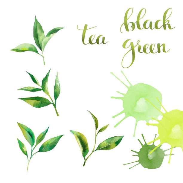 茶叶集水彩和文字图片下载