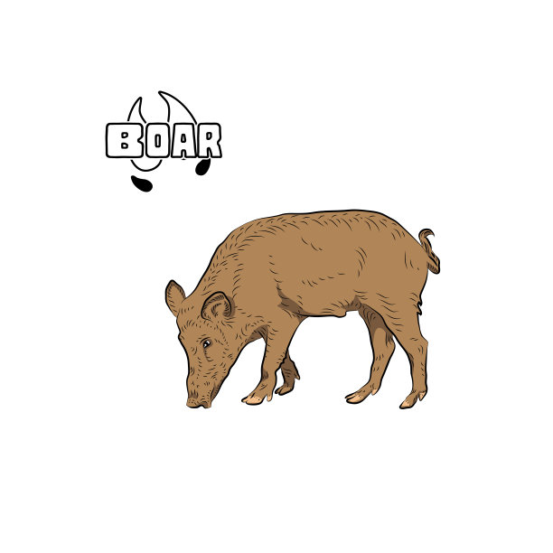 吃小的猪。图片下载