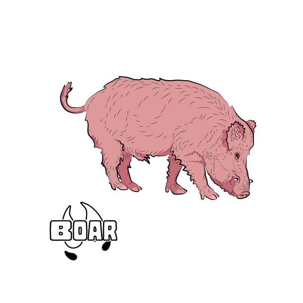 野猪吃。图片下载