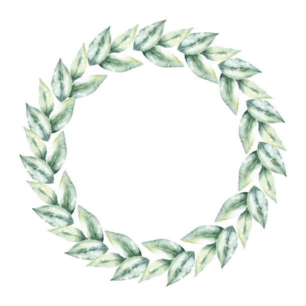 水彩花卉框架。图片下载