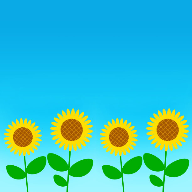 向日葵图片下载