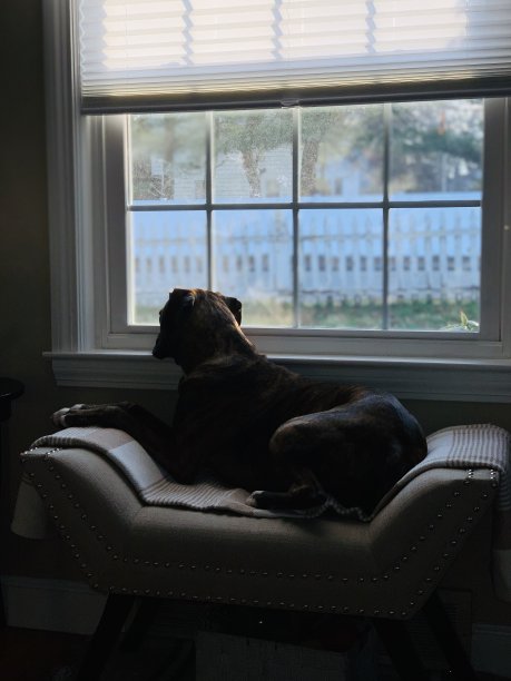 懒散的周日图片下载