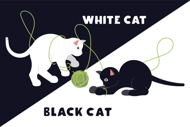 受惊的黑白小猫图片下载