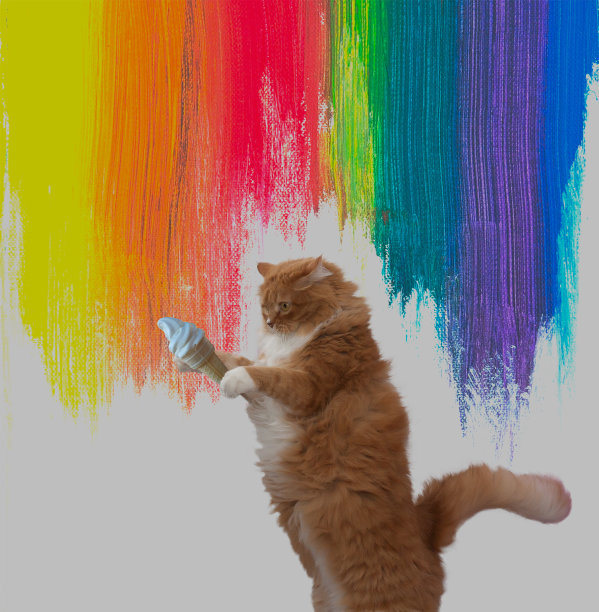 爪子里抓着冰淇淋的猫图片下载