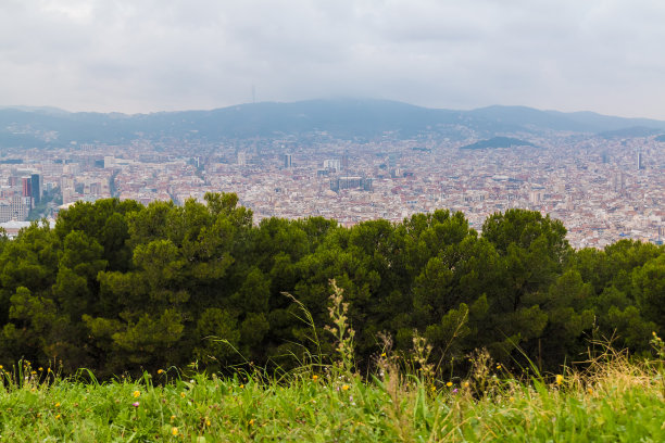 西班牙巴塞罗那市鸟瞰图图片下载
