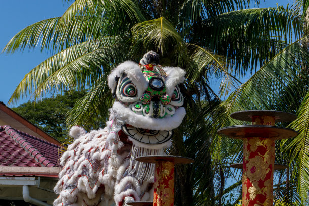 在中国新年的节日里舞狮图片下载