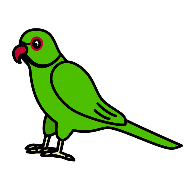 rose-ringed长尾小鹦鹉图片下载