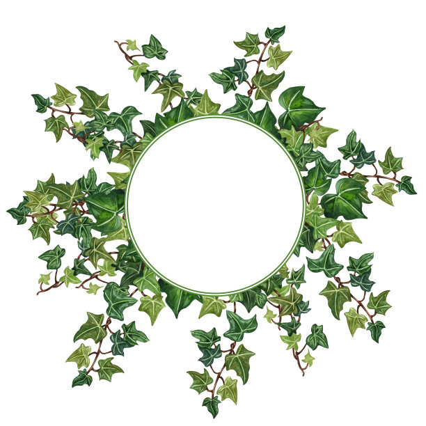 从常春藤小枝的花框架。手绘花环，青藤叶，婚礼请柬，贺卡。图片下载