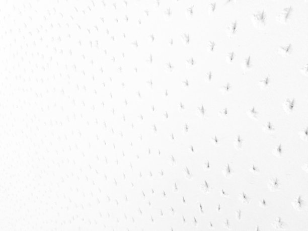 白色斑点墙纸背景的封面设计3d渲染图片下载