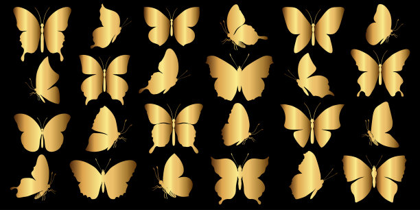 一套金蝴蝶图片下载