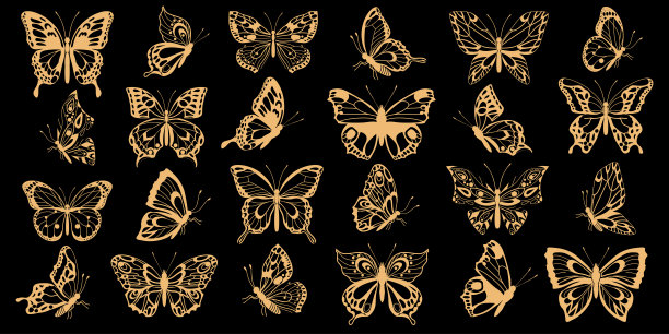 一套金色蝴蝶图片下载