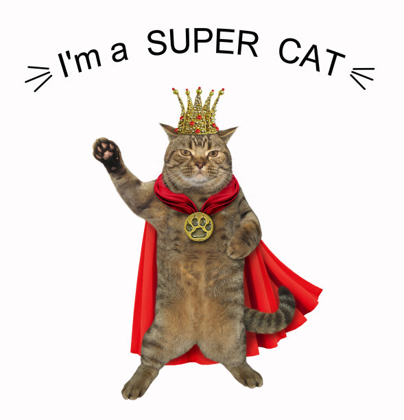 穿着红色斗篷的猫国王图片下载