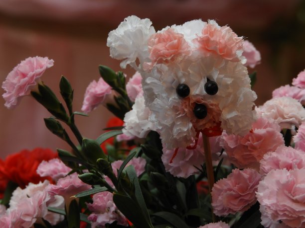 母亲的第一天图片下载