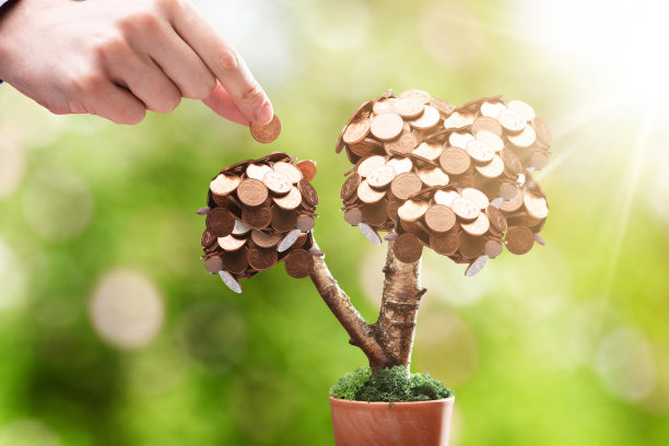 人的手把硬币放在植物上图片下载