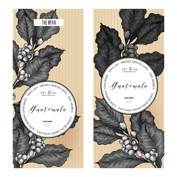 咖啡。手绘咖啡枝。矢量彩色雕刻图标。复古风格的包装设计。标签模板，品牌标识，咖啡sop，餐厅或咖啡馆菜单。时尚的咖啡品牌。图片下载