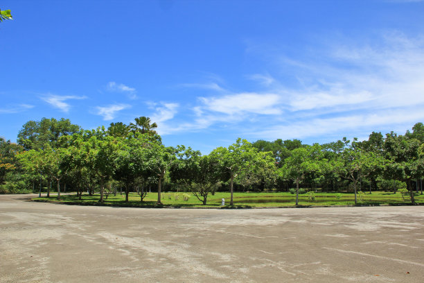 阳光明媚的一天，花园的景色图片下载