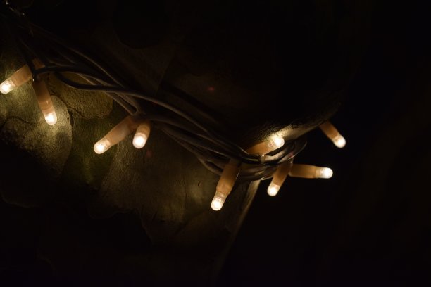 圣诞树上的圣诞彩灯。图片下载