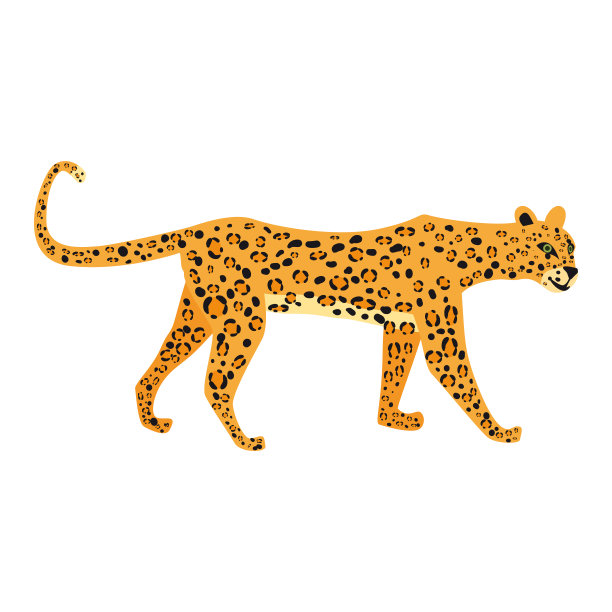 豹子可爱的流行风格，动物捕食哺乳动物，丛林。矢量插图孤立在白色背景图片下载