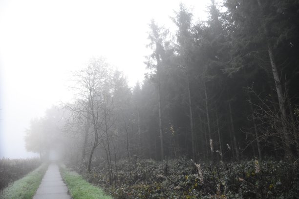 喂?有任何人吗?图片下载