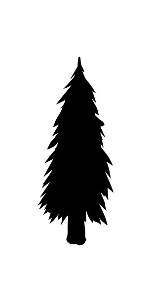 松树的剪影。手工制作的。图片下载