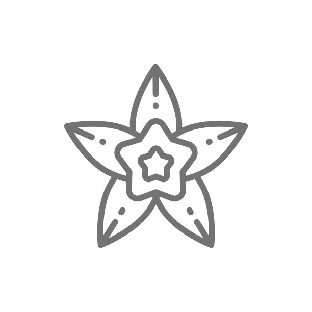 香草，八角线图标。图片下载