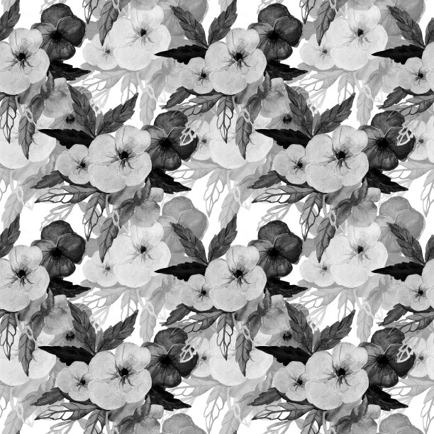 三色紫罗兰花。图片下载