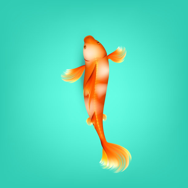 中国橙色锦鲤与白点矢量图片下载