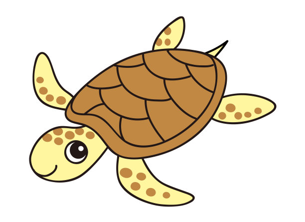 海龟海龟图片下载