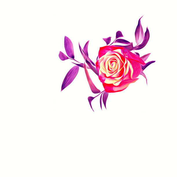 玫瑰的插图。图片下载