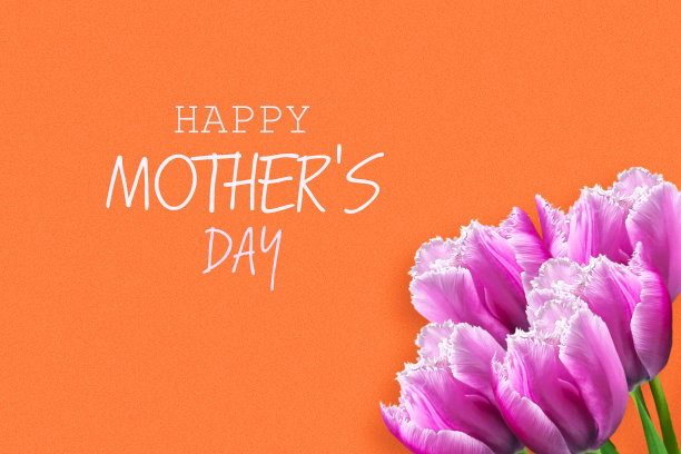 母亲节快乐。珊瑚背景上美丽的郁金香。贺卡。节日的旗帜。图片下载