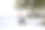狗雪的冬天图片下载