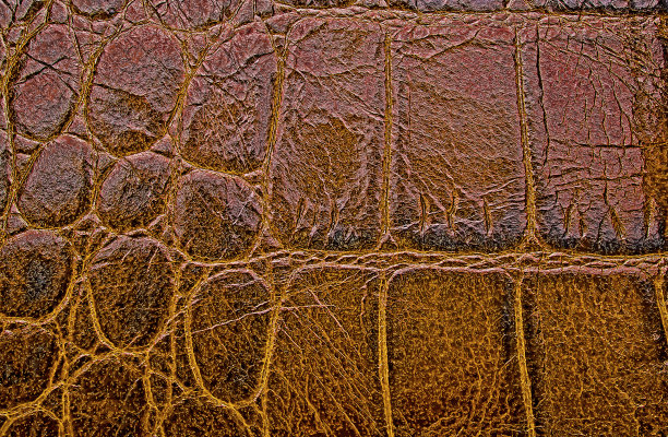 棕色鳄鱼皮纹理，作为背景。图片下载