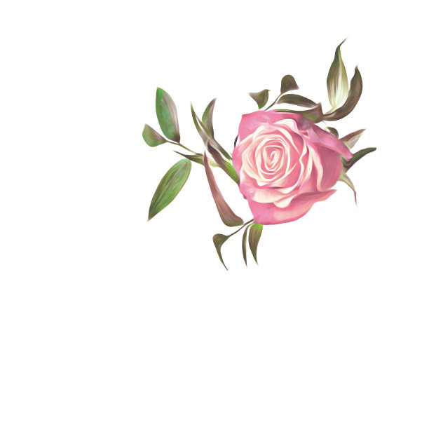 玫瑰的插图。图片下载