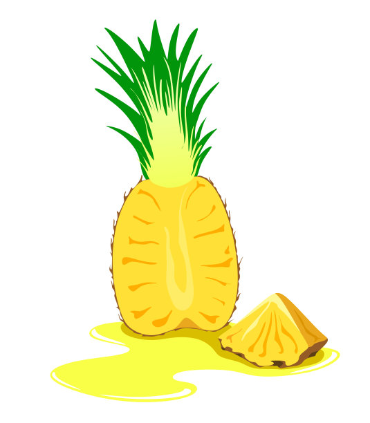 将成熟的菠萝切片，白色背景上有菠萝片和菠萝汁。矢量水果图图片下载